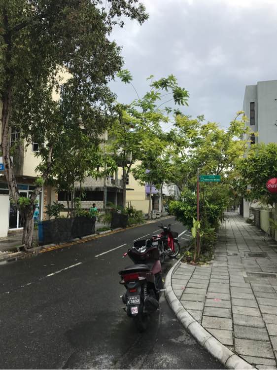 阿雅达AYADA